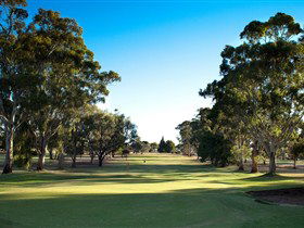Loxton Golf Club - Hotel VIC 0