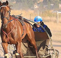 Ballarat  District Trotting Club - Hotel VIC