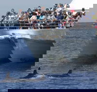 MoonshadowTQC Cruises - Hotel VIC