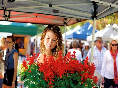 Ballina Missingham Farmers Market - Hotel VIC 0