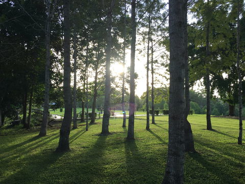 Celebration Outing Special - Hotel VIC 0