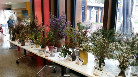 Grampians Wildflower Show - Hotel VIC 0