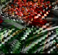 Lawrence Farmers and Community Markets - Hotel VIC