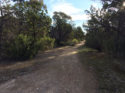 Victoria Park Moonta Monthly Walks - Hotel VIC 0
