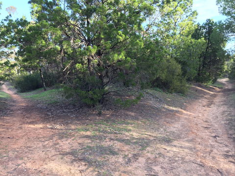Victoria Park Moonta Monthly Walks - Hotel VIC 1