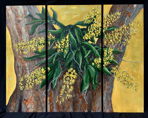 A Still Life - Solo Exhibition  Karen Sedaitis - Hotel VIC 1