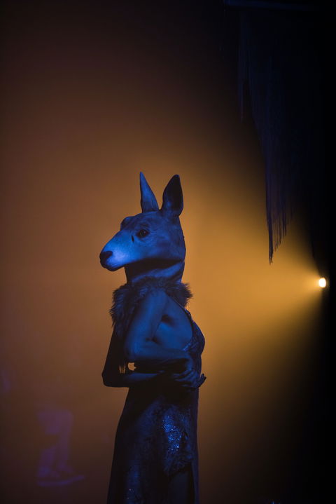 Bleach* Festival - Hotel VIC 1