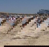 Perlubie Beach Sports Day - Hotel VIC