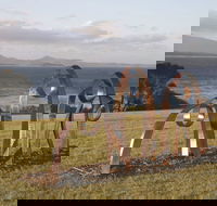 Sculpture Bermagui - Hotel VIC