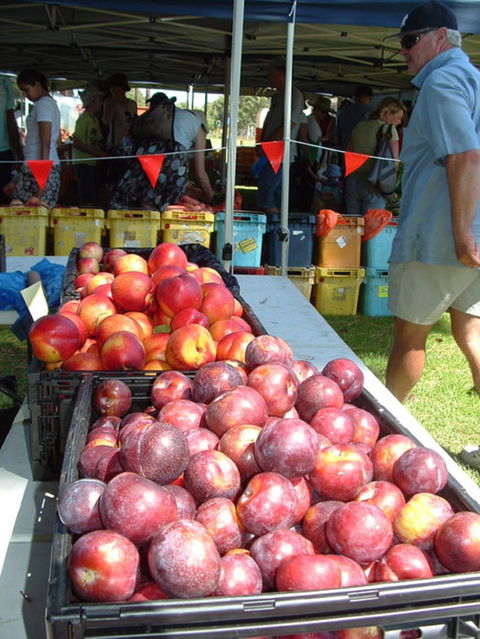 The Farmers Market On Manning - Hotel VIC 0