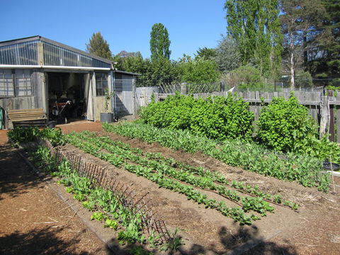 All Season Cold Climate Organic Vegetable Growing - Hotel VIC 1