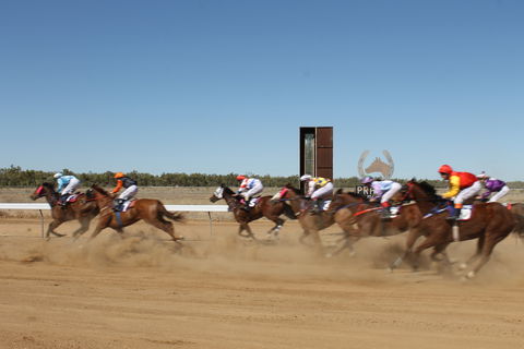 Annual Prairie Races - Hotel VIC 1