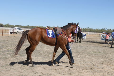 Annual Prairie Races - Hotel VIC 2