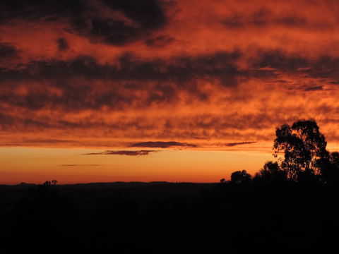 Father's Day At Cottontail Wines - Hotel VIC 0