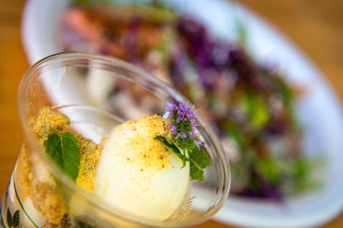 Festivale - Hotel VIC 2