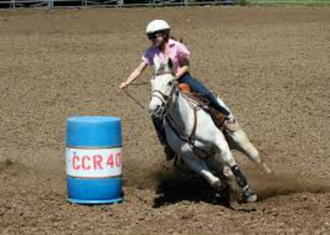 Glen William Gymkhana - Hotel VIC 2