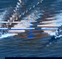 Rathmines Catalina Festival - Hotel VIC