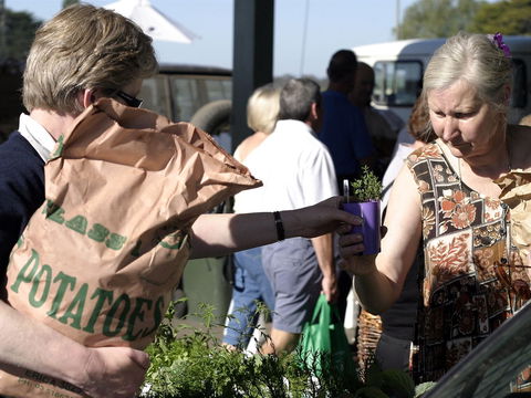 Sale  Producers Market - Hotel VIC 0