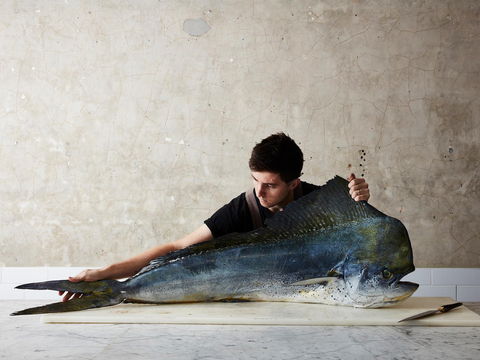 National Photographic Portrait Prize - Hotel VIC 0