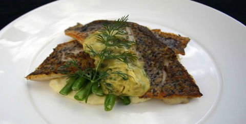 Aquarius Seafood Restaurant - Hotel VIC 2