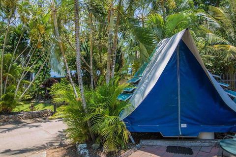 Tasman Holiday Parks - Airlie Beach - Hotel VIC 5