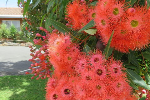 Port Campbell Motor Inn - Hotel VIC 4