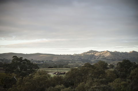 Novotel Barossa Valley Resort - Hotel VIC 1