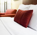 The Scented Rose - Hotel VIC