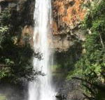 Purling Brook Falls Gwongorella - Hotel VIC