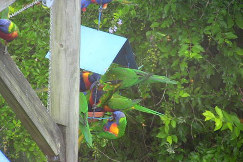 A Lakehouse Escape - Hotel VIC 4