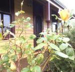 Albion Cottage - Hotel VIC
