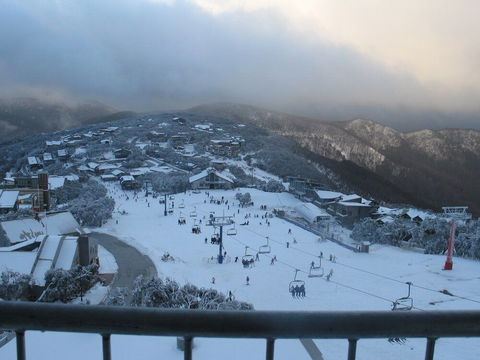 Alto 203 - Hotel VIC 4