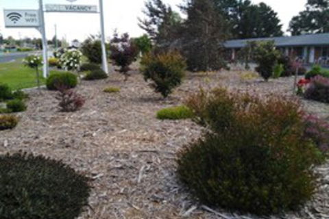 Altona Motel - Hotel VIC 0