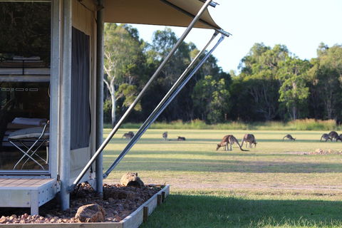 Habitat Noosa - Hotel VIC 3