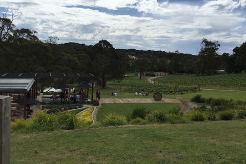 Aquawaters House By Barefoot Beach Stays - Hotel VIC 5