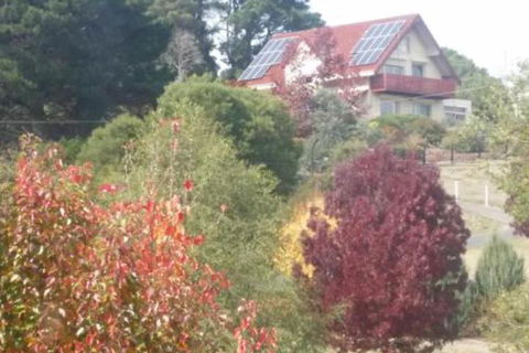 Abelia BIG SPA NO 1 Cottage - Hotel VIC 2