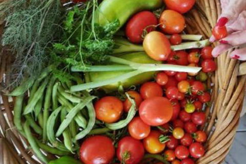 Ahvenbloem Park Winganna - Hotel VIC 3