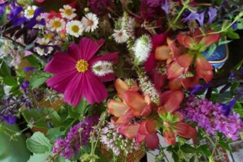 Ahvenbloem Park Winganna - Hotel VIC 0