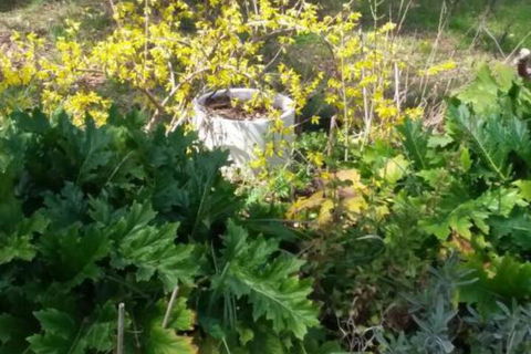 Ahvenbloem Park Winganna - Hotel VIC 1