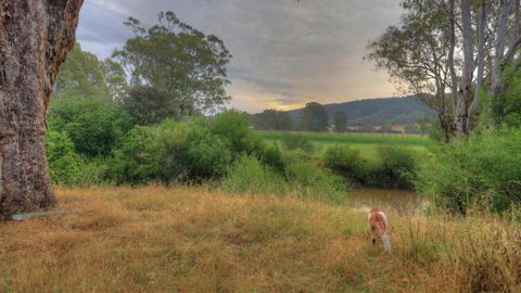 Buffalo River Homestead - Hotel VIC 3