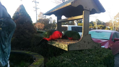 Grand Country Lodge Motel - Hotel VIC 3