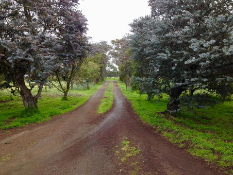 Fairy Wren Cottage Country To Coast Retreat - Hotel VIC 4
