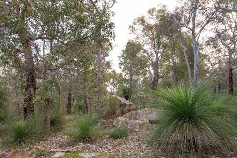 A Hidden Bush Delight - Hotel VIC 6