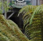 The Wombat Cottage - Hotel VIC