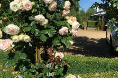 Petschel House - Hotel VIC 3