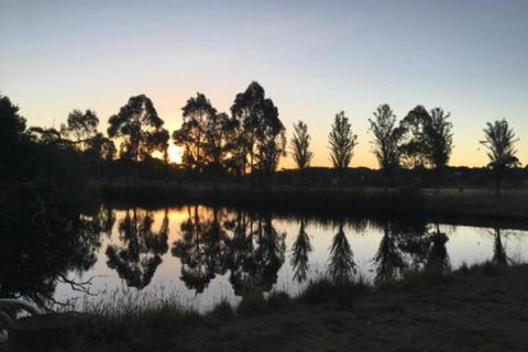 Petschel House - Hotel VIC 5