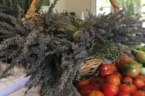 Petschel House - Hotel VIC 4