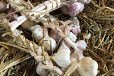 Petschel House - Hotel VIC 6