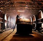 Pieter van Gent Winery  Vineyard - Hotel VIC
