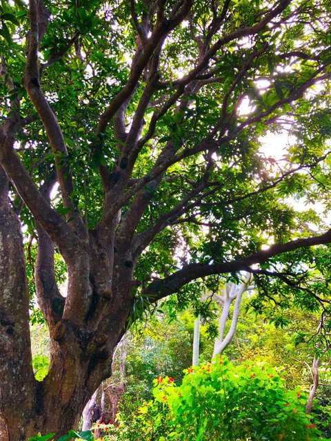 Graces Of Byron - Hotel VIC 4